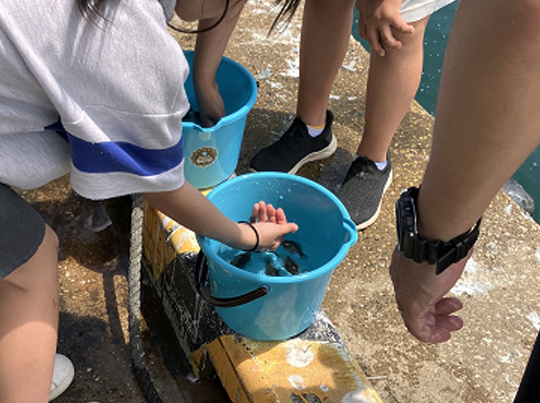 稚魚放流6