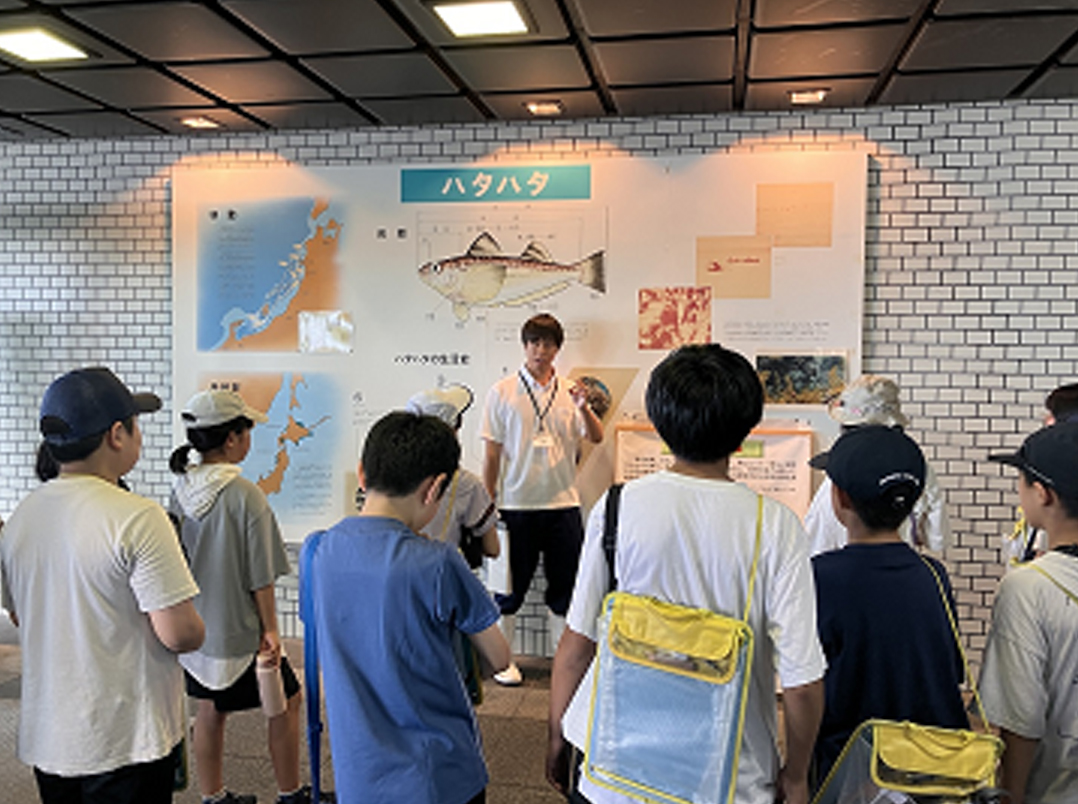稚魚放流1