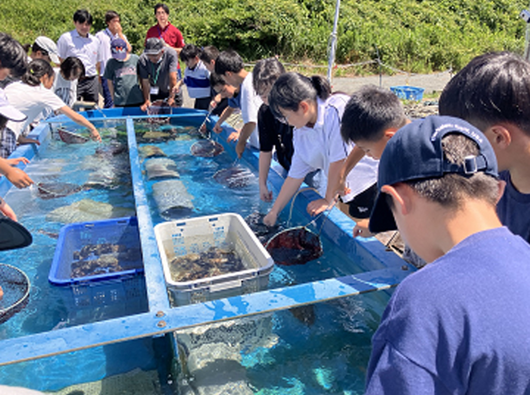 稚魚放流3