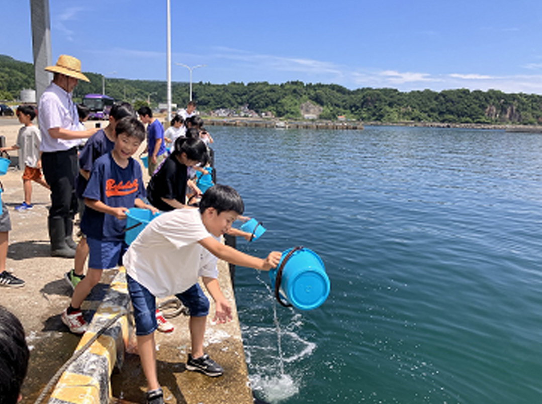 稚魚放流4