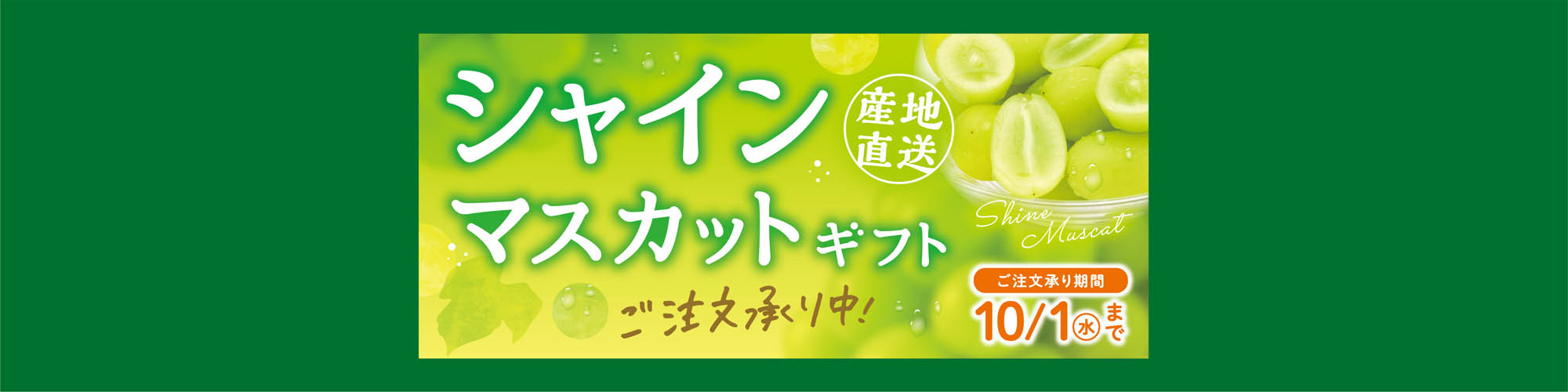 シャインマスカットギフト