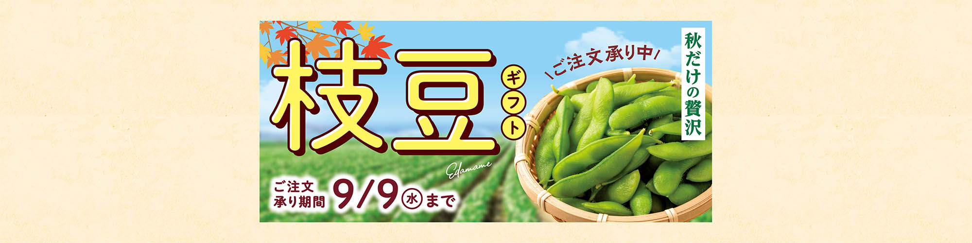 枝豆ギフト
