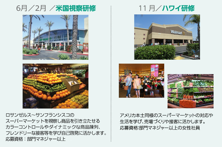 【5～6月】米国視察研修：ロサンゼルス～サンフランシスコのスーパーマーケットを視察し商品を引き立たせるカラーコントロールやスケールの大きい陳列、フレンドリーな接客等を学び自己啓発に活かします。応募資格：部門マネージャー以上・【11月】ハワイ研修：アメリカ本土同様のスーパーマーケットの対応や生活を学び、売場づくりや接客に活かします。応募資格：部門マネージャー以上の女性社員
