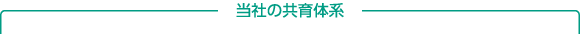 当社の共育体系